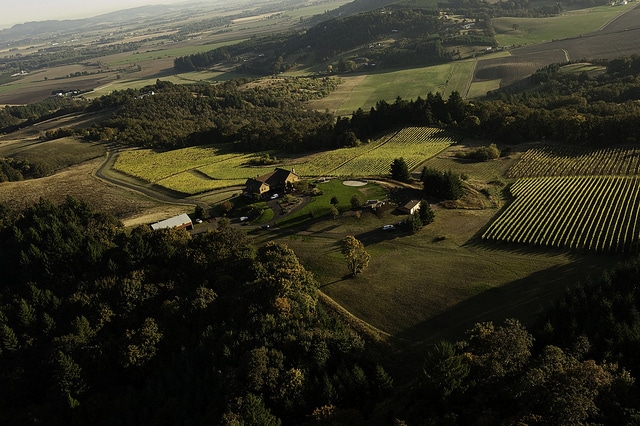 aerial view of youngberg hill