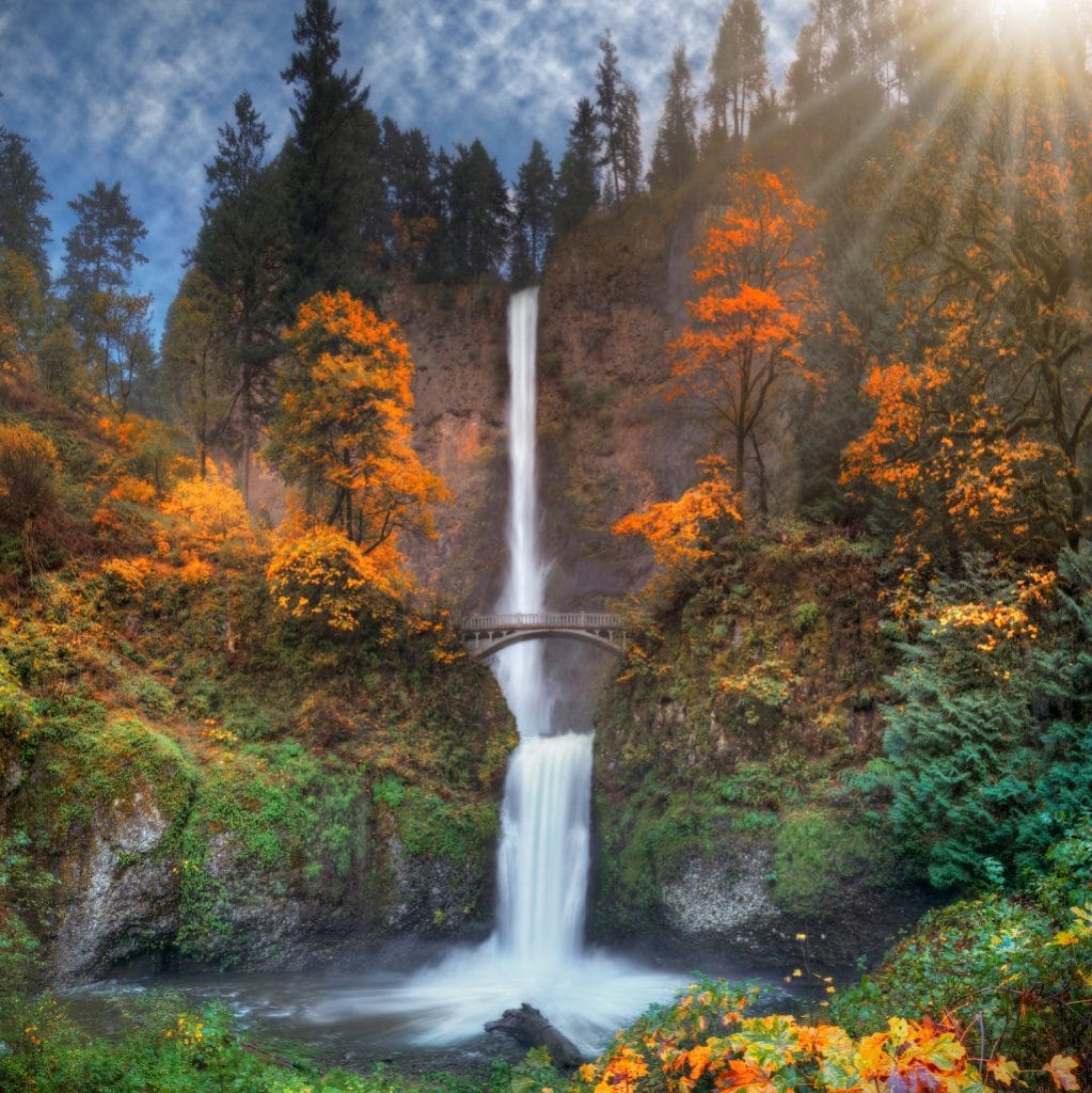 multnomah falls