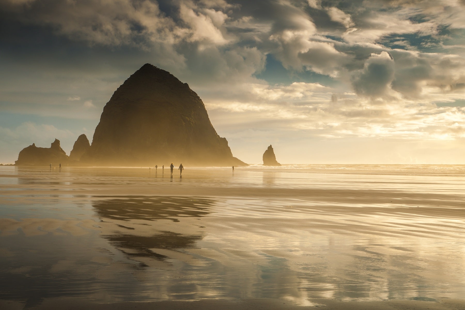 5 Oregon Coast Beaches to Add to Your Bucket List Youngberg Hill